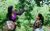 Tour Tham Quan Cồn Sơn Cần Thơ