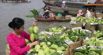 Hướng Dẫn Du Lịch Miền Tây