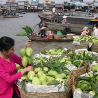 Cho Noi Cai Rang 7