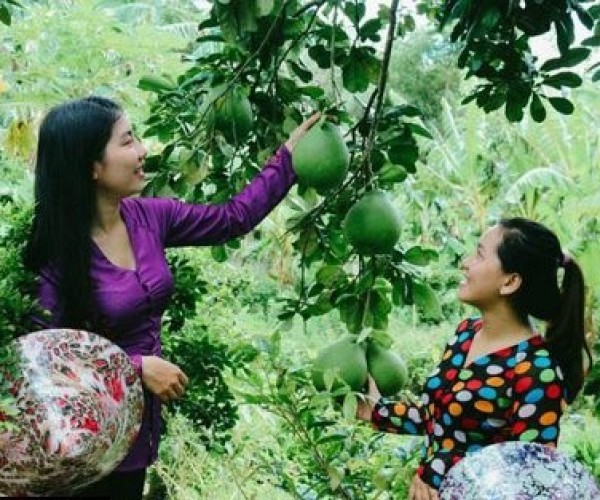 Cồn Sơn 1