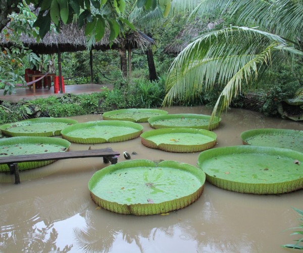 Cồn Sơn 3