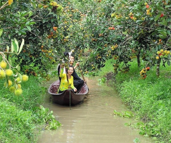 Cồn Sơn 5
