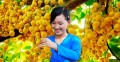 Tour Chợ Nổi Cái Răng – Lò Hủ Tíu – Vườn Trái Cây