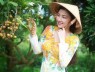Hướng Dẫn Du Lịch Cần Thơ